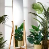 CASA BAMBOO Miroir Brun