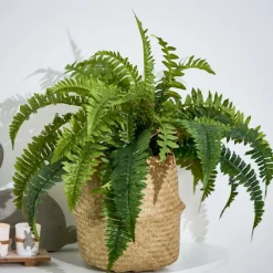 CASA BRONZE Pot De Fleurs Bronze