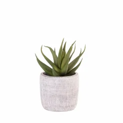 CASA BRONZE Pot De Fleurs Bronze