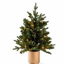 CASA CEDER Branche Décorative Vert