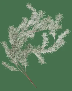 CASA CEDER Branche Décorative Vert