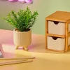 CASA CERA Plante Artificielle Diverses Couleurs