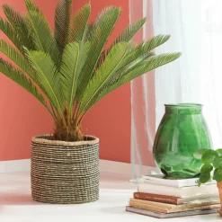 CASA CYCAS Palmier Vert