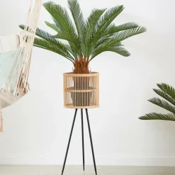 CASA CYCAS Palmier Vert
