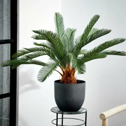 CASA CYCAS Palmier Vert