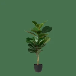 CASA FIGI Plante Artificielle Noir, Vert Foncé