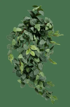 CASA FITTONIA Guirlande Feuilles Vert