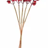 CASA FOAM Branche De Grenadier Rouge
