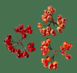 CASA FOAM Déco églantier Rouge