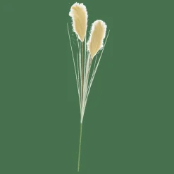 CASA GRASS Panicule De Roseau Vert