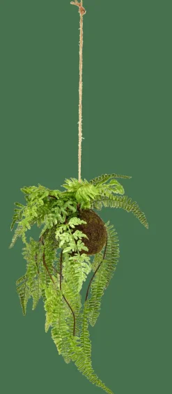 CASA GREENERY Pot à Suspendre Avec Fougère Vert