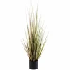 CASA HERBA Herbe En Pot Vert