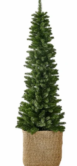 CASA HYMNE Branche Décorative Vert