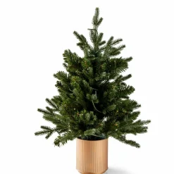 CASA HYMNE Branche Décorative Vert