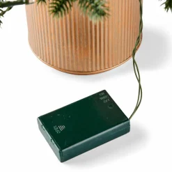 CASA HYMNE Branche Décorative Vert