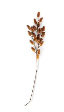 CASA JULIA Vase Brun
