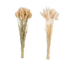 CASA LAGURUS Lagure Ovale Beige