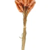 CASA LAGURUS Lagure Ovale Rose