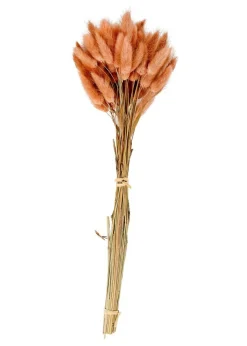 CASA LAGURUS Lagure Ovale Rose