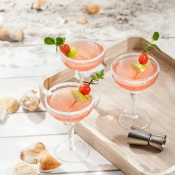 CASA MIXOLOGY Verre à Cocktail 22,5 CL Transparent