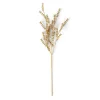 CASA MOTHERWORT Branche D'herbes Doré