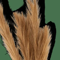 CASA PLUME Plumes Décoratives Brun