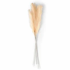 CASA PLUME Plumes Décoratives Brun Clair