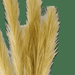 CASA PLUME Plumes Décoratives Vert