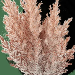 CASA PLUME Tige Panache Orange