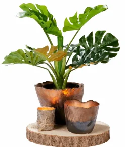CASA PURE RUSTIC Bougie Olive