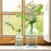 CASA RETRO Vase Bouteille Transparent