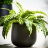 CASA SENSE Pot De Jardin Noir