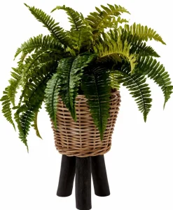 CASA STALLE Porte-plante Noir