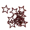 CASA STAR Décoration Séchée