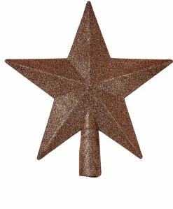 CASA STAR Décoration Séchée