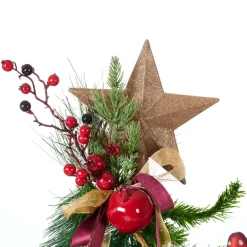 CASA STAR Décoration Séchée