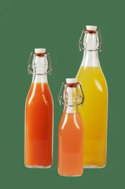 CASA SWING Bouteille 0,5 L Transparent
