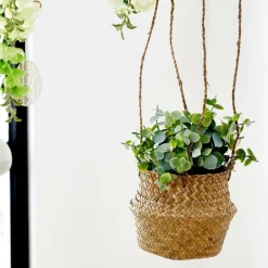 CASA TERRA Pot Avec Plante Blanc, Vert